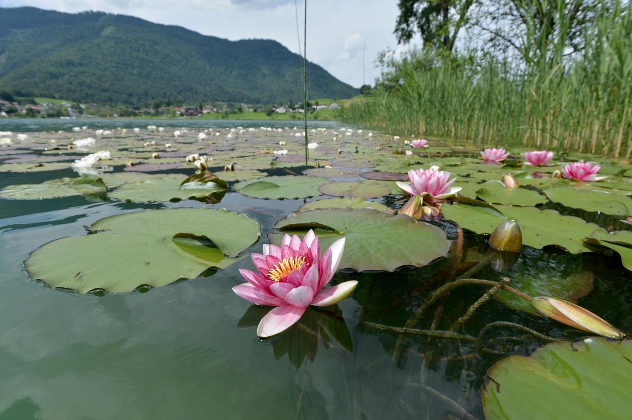 Ticklhof Am See Thiersee